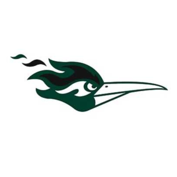 College of DuPage - Women's Volleyball
