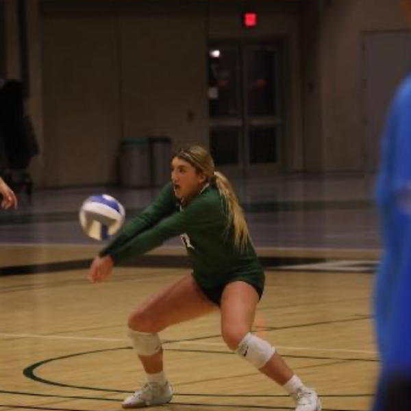 Francesca Brandonisio