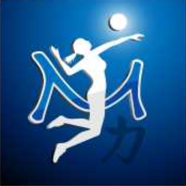 Michio Chicago Volleyball Academy