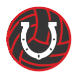 Horseshoe Volleyball Club