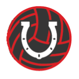 Horseshoe Volleyball Club