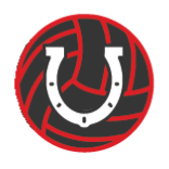 Horseshoe Volleyball Club