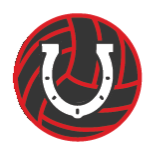 Horseshoe Volleyball Club