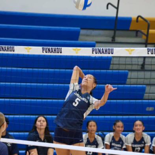 Lexi Bourgeois-Torres