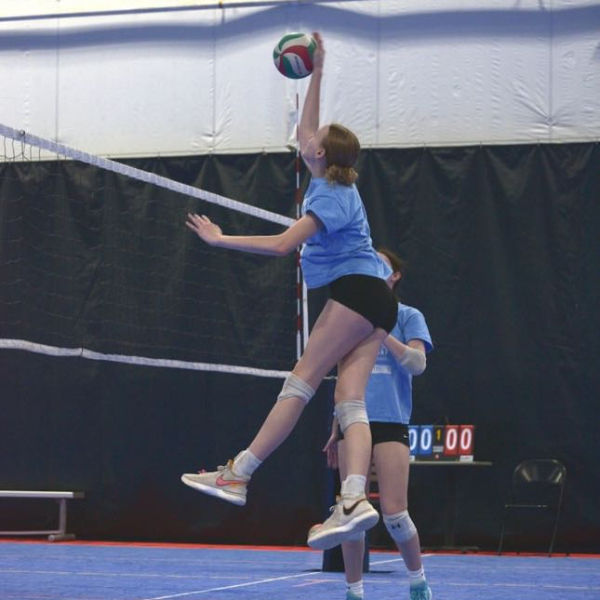 Whitney Williams
