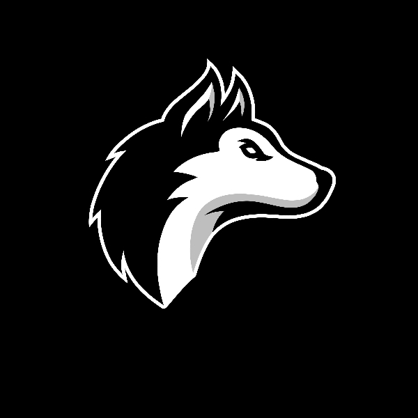Husky Volleyball club